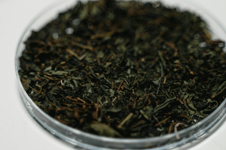 Detailed close-up of dried herbal leaves in a glass petri dish, perfect for medical or botanical use.